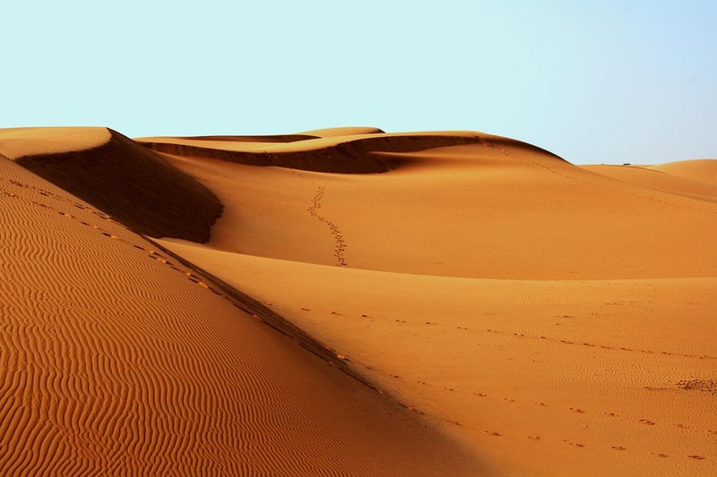 Desert Expedition